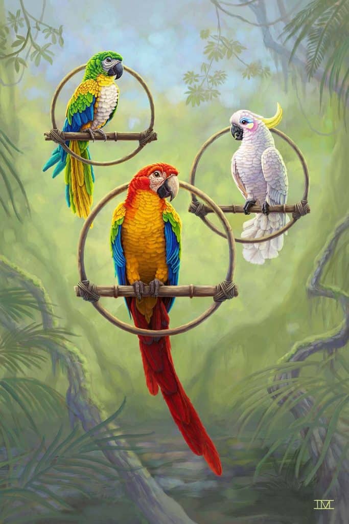 Brightly colored parrots sit on perches with a tropical forest background