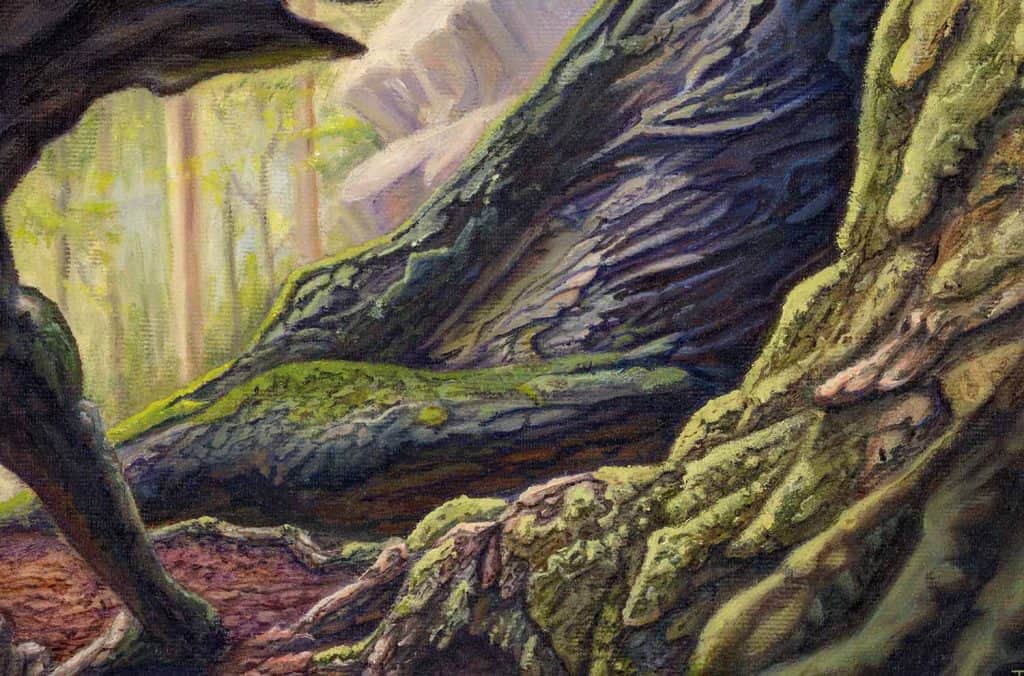 Roots - ancient, gnarled tree roots covered in loam and moss
