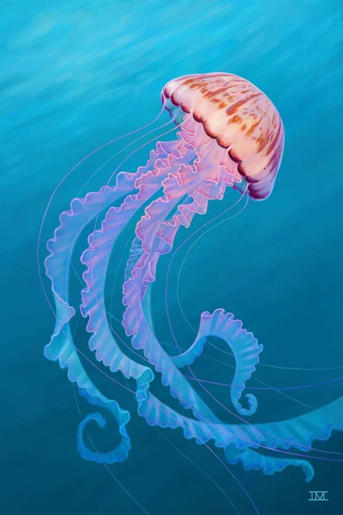 Aquatic Ballet, a colorful jellyfish swims in an aqua ocean