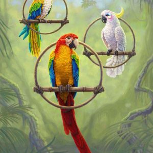 Digital painting of three parrots sitting on hanging perches