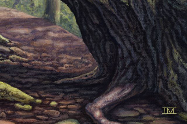 Forest Path - Image 3