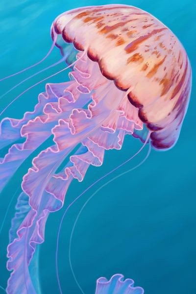 Digital painting of a jellyfish in pink, purple and blue