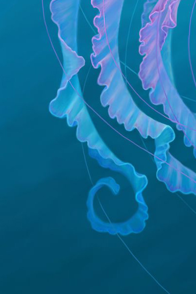 Digital painting of a jellyfish in pink, purple and blue