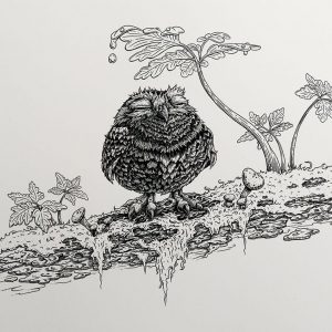 Pen and ink rendering of a Herbert, the tiny owl, taking shelter from the rain under a leaf.