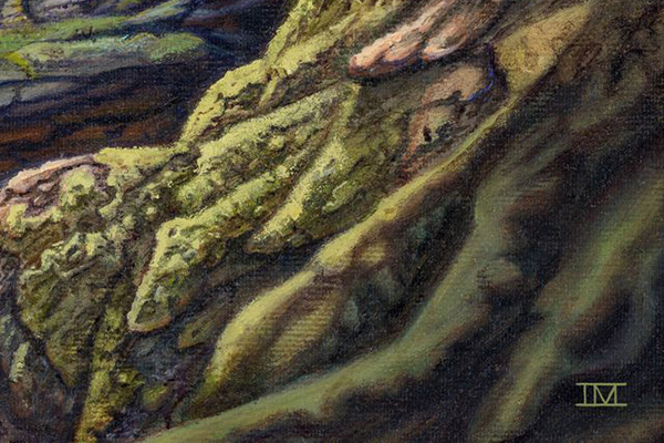 Roots - Image 3