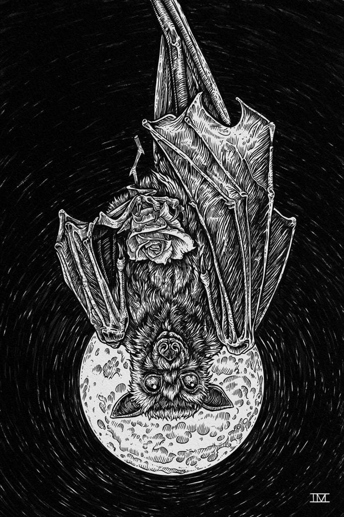 Bat Ink a sleepy bat rendered in pen and ink with a full moon in the background